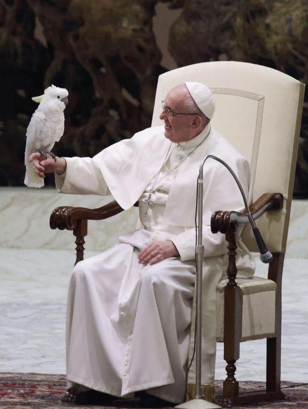 Pope Francis with a cockatoo 